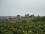 Carcassonne castle over grapevines, Carcassonne, France